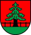 „Schärm“-Tanne (Grindel CH)