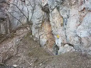 Eingangsbereich der Großen Kollerhöhle (Februar 2011)