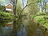 Das Wasser bei der ehemaligen Jüttler-Mühle / Seeliger-Mühle