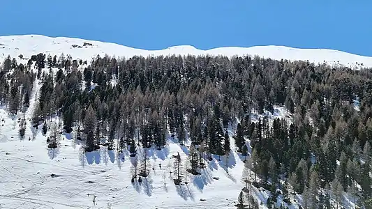 Grosshorn, von Pürt aus aufgenommen.