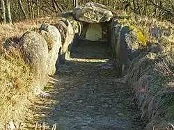 Steinkammer bei Dohnsen, Landkreis Celle