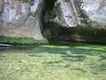 Auskolkung Grotte aux Fées im Vallon Sourn oberhalb von Correns