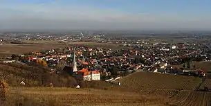 Blick über Gumpoldskirchen