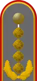 Dienstgradabzeichen eines Generals auf dem Schulterstück der Jacke des Dienstanzuges für Heeresuniformträger