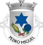 Wappen von Pedro Miguel