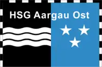 HSG Aargau Ost