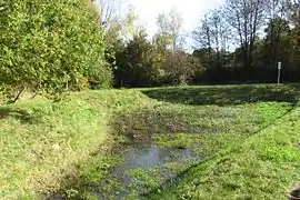 Schon nach kurzer Strecke versorgt der Haarbach ein Feuchtgebiet