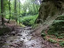 Hagenbachklamm mit Sandsteinklippen