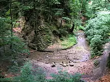 Hagenbachklamm, geschwungener Bachlauf