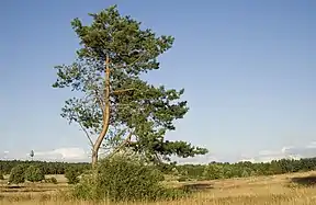 Blick in das Naturschutzgebiet