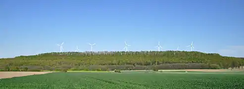 Blick auf die Halde Nierchen von Westen