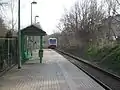 City-Bahn bei der Einfahrt in den Hp. Dittersbach (2016)