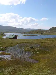 Hardangervidda im Sommer