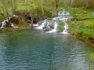 Der Wimsener Wasserfall, einer der wenigen Wasserfälle am Südrand der Schwäbischen Alb