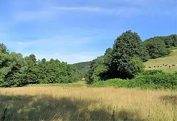 Naturschutzgebiet Felderbachtal