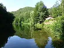 Paddelweiher bei Hauenstein