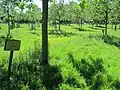 Obstgarten beim Haus im Moor