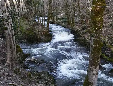 Die Haute-Loue bei Miremont an der Westgrenze zu Lanouaille