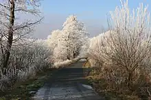 Havelland-Radweg zwischen Pessin und Senzke im Winter