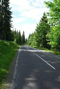 Die Hebalmstraße überquert die Koralm im Schutz des Waldes.