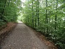 Rundweg von bis zu 5,5 km