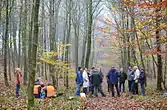 Geophysikalische Prospektion im Herbst 2014