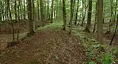 Nordöstliche Wallecke, links Hauptburg, rechts Vorburgbereich