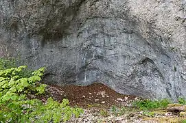 Blick in den nordöstlichen Bereich des Abris (Maßstab = 1 m)