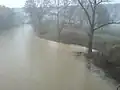 Hochwasser führender Hergstbach an der Mündung. Das stärker gefärbte Hergstbachwasser ist noch einige Meter nach dem Zusammenfluss erkennbar (Dezember 2009).