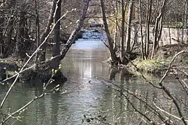 Mündung in die Tauber