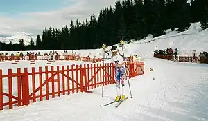 Hervé Flandin beim Olympischen Sprintrennen 1992