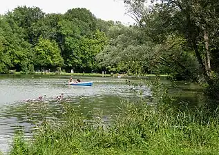 Ruderboote auf dem See