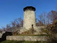 Hintere Burgruine Wartenberg, Muttenz