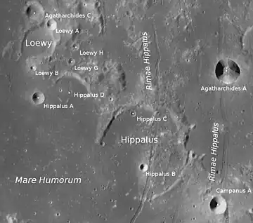 Loewy (oben links) und Umgebung (LROC-WAC)