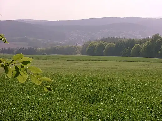 Ackerbau und viel Wald prägen Hochspeyers Umgebung