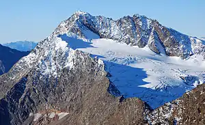 Hochwilde in den Ötztaler Alpen