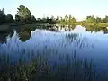 Teich im Naturpark