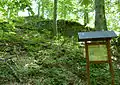 Blick vom Halsgraben hinauf zu Mauerresten der Burg