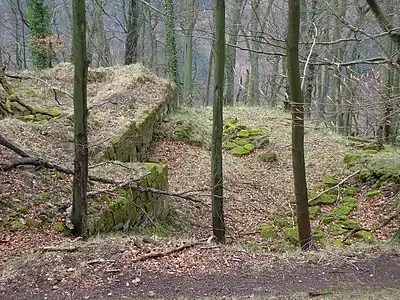 Burgruine Hohenfels