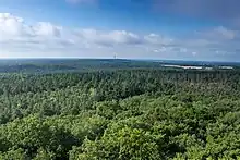 Aussicht vom Turm nach Süden