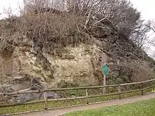 „Hoher Stein“ im Stadtteil Plauen, Monzonit-Klippe mit Brandungstaschen des marinen Cenomans