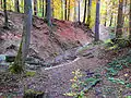 Holderbach am Anfang des Tobels kurz nach der Einmündung des Mittelwaldbachs