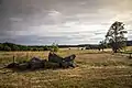 Basaltbrocken auf dem Hohen Westerwald über Homberg