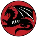 Aktuelles Symbol der 115. Staffel „Flying Dragon“