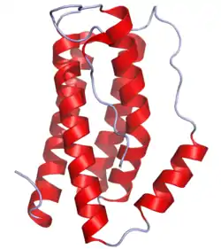 Interleukin-6