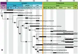 Phylogenetischer Baum mit Zeitskala und stratigraphischer Referenzachse