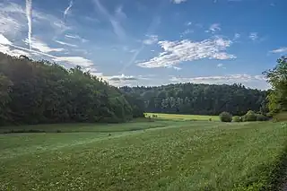 Jeusinggrund hinter Zell bei Schweinfurt