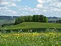 Der Kalvarienberg, im Hintergrund das Illertal