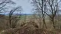 Blick vom Burgfelsen ins Tal