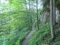 Indian Ladder Trail, Weg durch den Wald